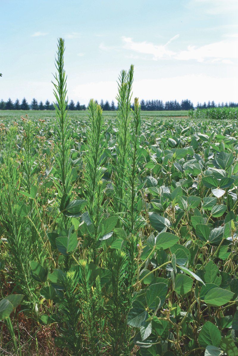 Canadian Cash Conquest: Quick And Easy Money Triumphs Canadian Cash Conquest: Quick And Easy Money Triumphs