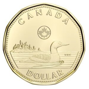 Canadian Currency Coins And Bills