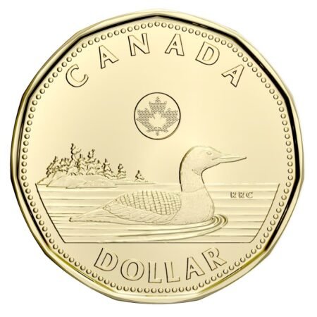 Canadian Currency Coins And Bills
