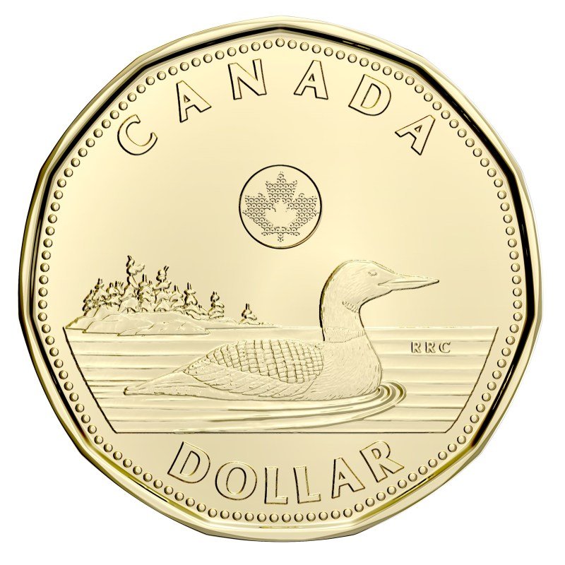 Canadian Currency Coins And Bills Canadian Currency Coins And Bills