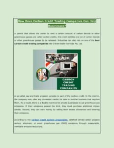Making Money With Carbon Credits