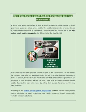 Making Money With Carbon Credits