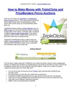 Making Money With Penny Auctions