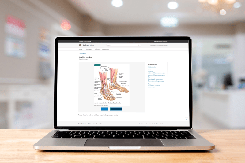 Medical Terminology A Living Language