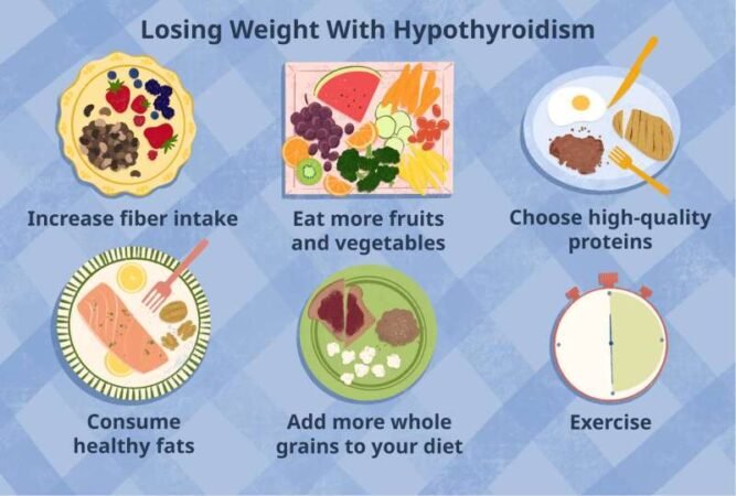 Top Diets For Weight Loss