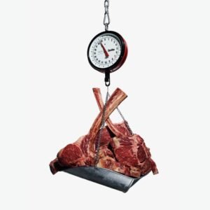 Daily Calorie Intake To Gain Weight