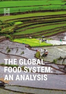 Global Health 101 4th Edition
