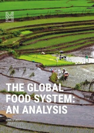 Global Health 101 4th Edition