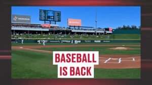 Mlb Rookie Of The Year Betting Odds