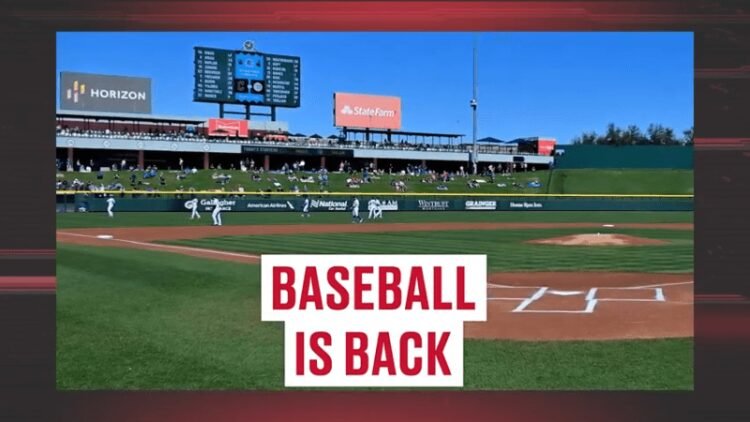 Mlb Rookie Of The Year Betting Odds