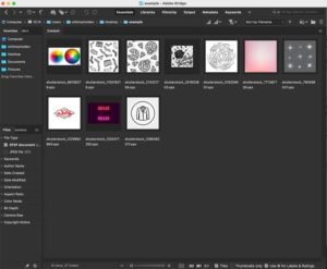 Adobe Bridge Tips And Tricks