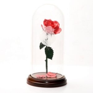 Beauty And The Beast Enchanted Rose Quotes