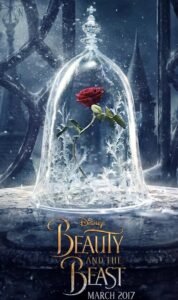 Beauty And The Beast Enchanted Rose