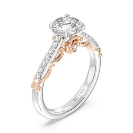 Beauty And The Beast Engagement Gift