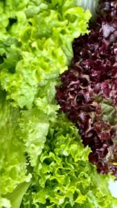Best Foods To Raise Hemoglobin Levels