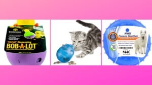Diy Cat Toys To Keep Them Busy
