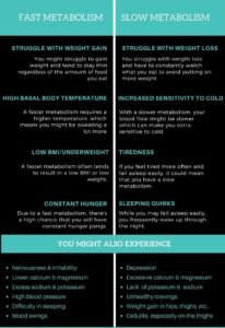 Fast Metabolism To Gain Weight