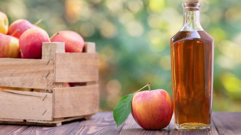 Apple Cider Good For Losing Weight Apple Cider Good For Losing Weight
