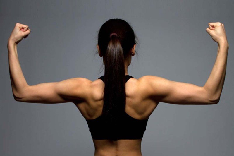 Best Diet For Losing Body Fat And Building Muscle Best Diet For Losing Body Fat And Building Muscle