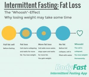 Best Intermittent Fasting Times For Weight Loss