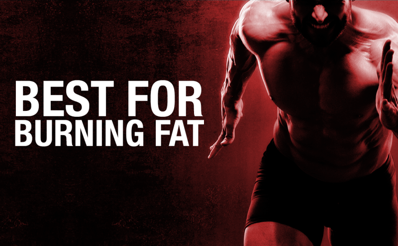 Best Workout Routine For Losing Fat And Building Muscle Best Workout Routine For Losing Fat And Building Muscle