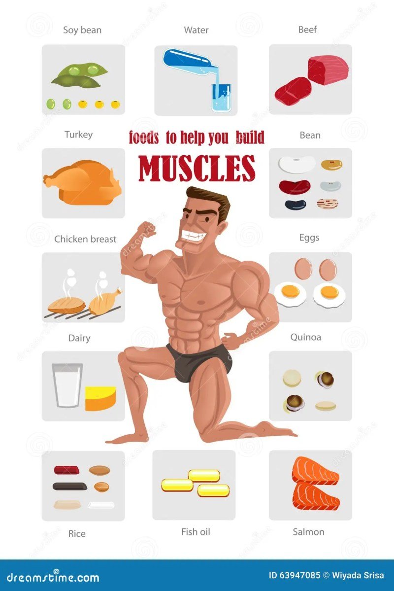 Healthy Foods To Eat To Gain Muscle