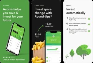 How Does Acorn Investing Work
