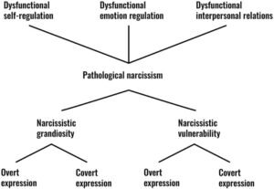 How To Control Narcissistic Behavior