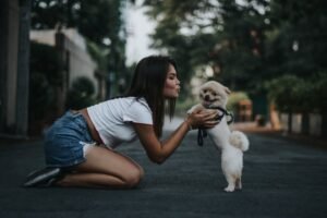 Ways To Keep Puppy Busy While At Work