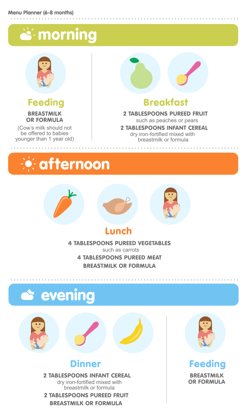 When To Introduce Cereal To Infants When To Introduce Cereal To Infants