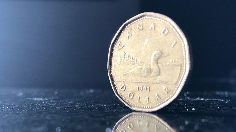 1988 Canadian Dollar Coin Worth