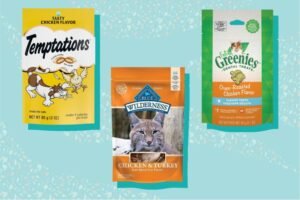 Best Food For Cats To Gain Weight