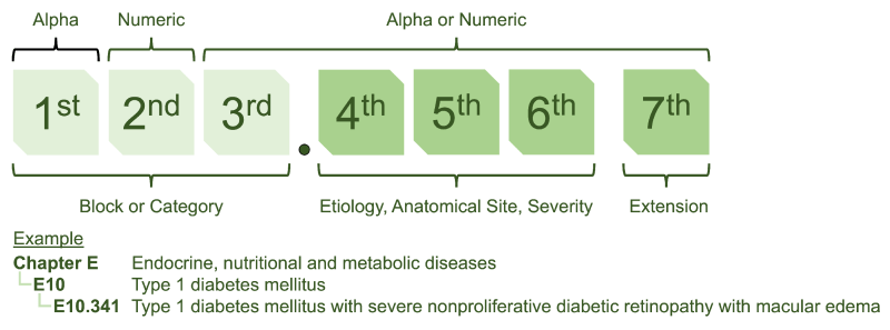 Comprehensive Medical Terminology 5th Edition Comprehensive Medical Terminology 5th Edition