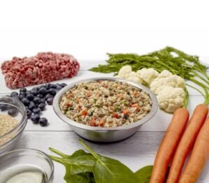 Dog Food To Help Gain Weight