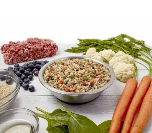 Dog Food To Help Gain Weight
