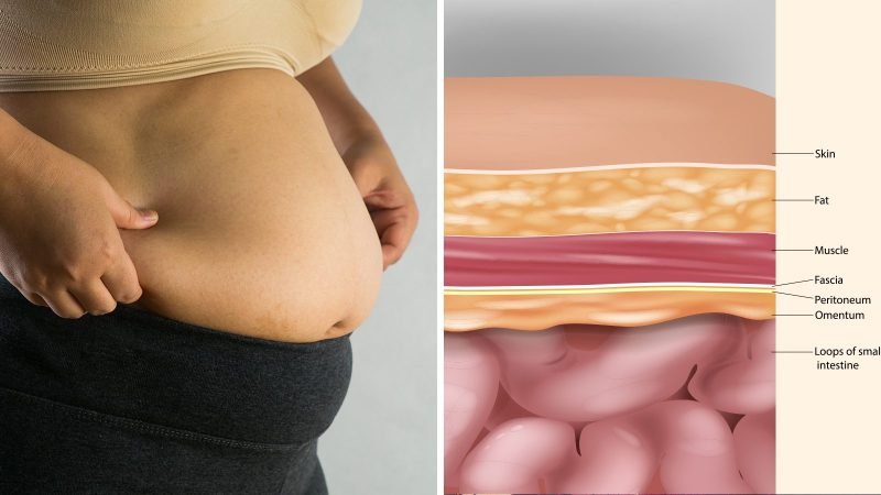 Fast Way Lose Belly Fat