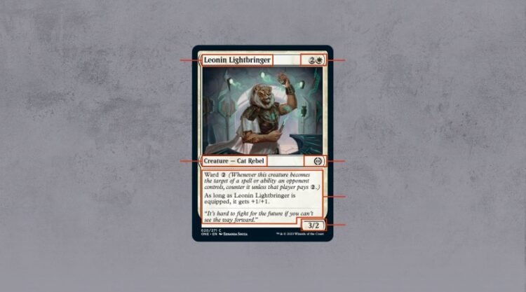 Free Spells That Work Instantly For Beginners