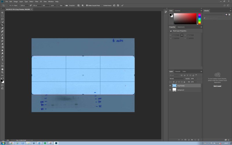 How To Crop Using Photoshop