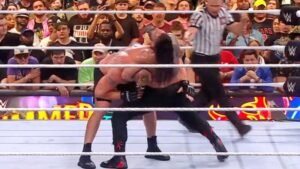 Roman Reigns Brock Lesnar Fight