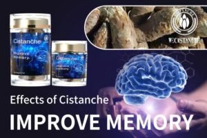 10 Ways To Improve Memory