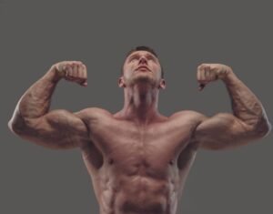 Best Muscle Gaining Workout Routine