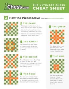 Chess Pieces And Their Moves