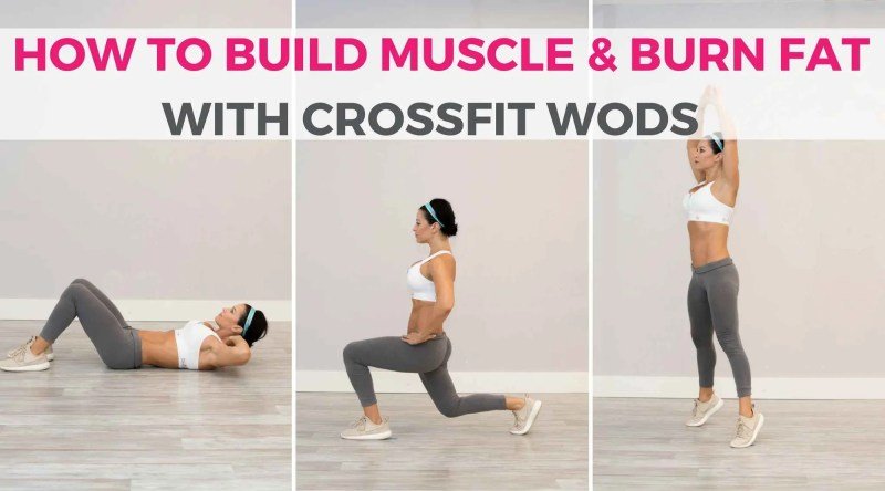 Fat Loss Muscle Building Workout Plan Fat Loss Muscle Building Workout Plan