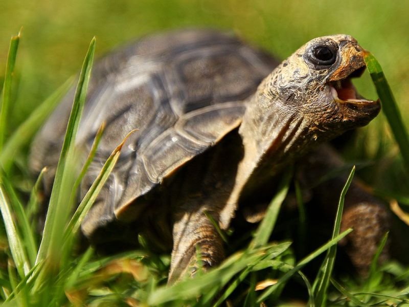 How To Attract Luck In Lottery