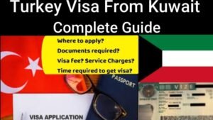 How To Get A Visa For Turkey