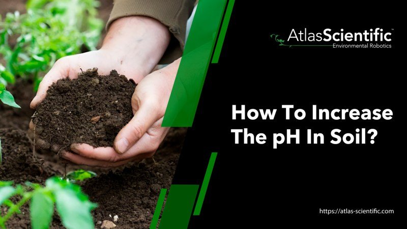 How To Raise Soil Ph