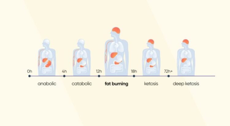 Calories Burned Fasting For 16 Hours