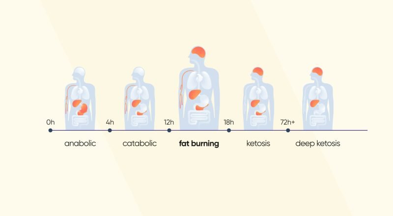 Calories Burned Fasting For 16 Hours Calories Burned Fasting For 16 Hours