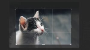 How To Crop A Picture Using Photoshop