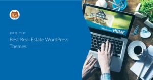 Real Estate Agent Website Idx